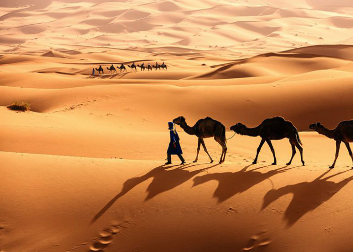 Hình ảnh nổi bật về sa mạc Sahara