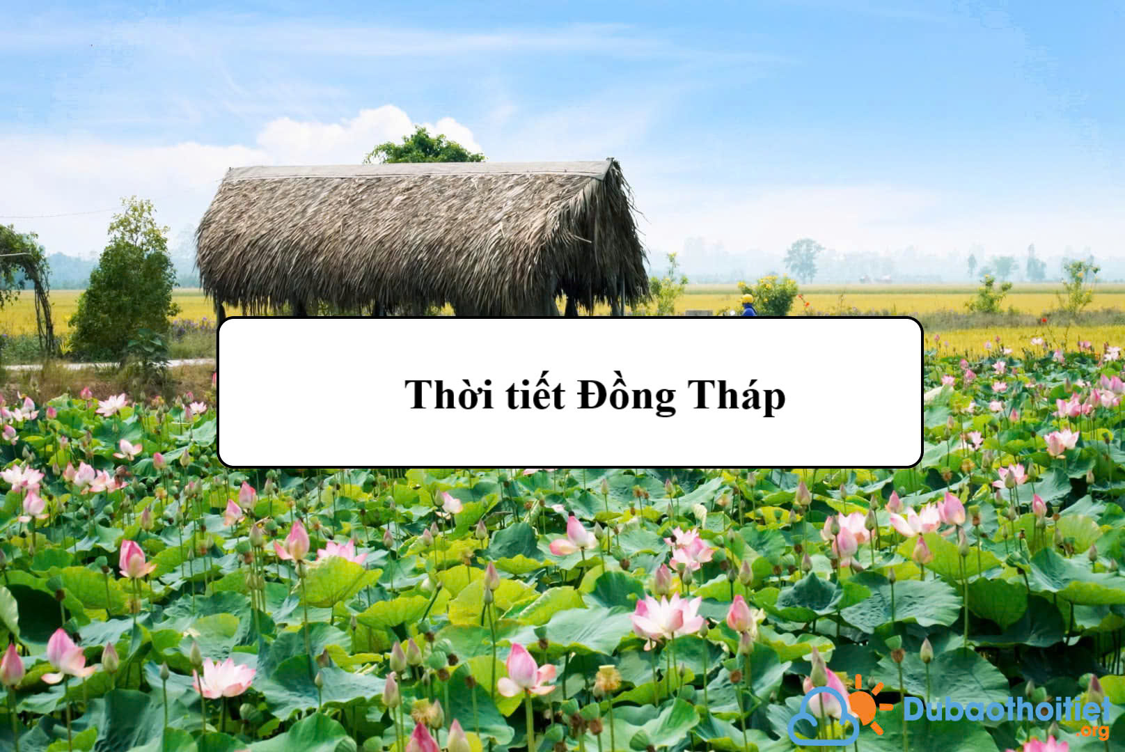 Thời tiết Đồng Tháp